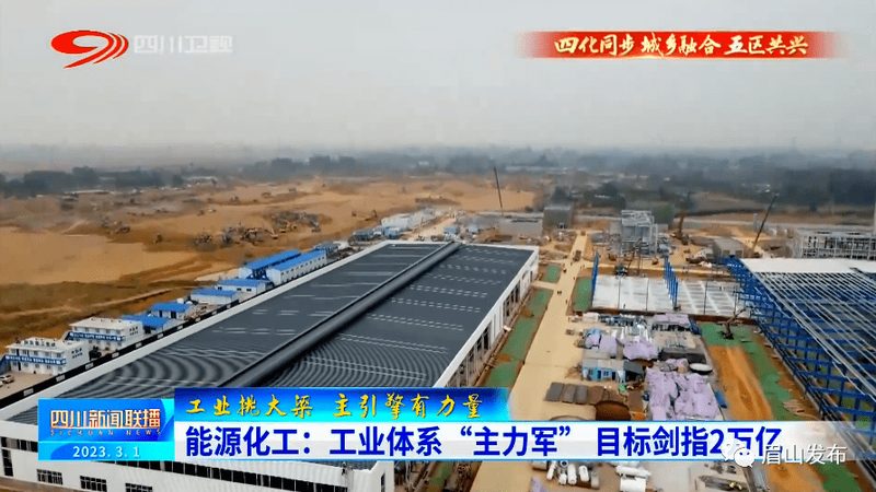 工业添加剂代理资质，合规之路揭秘**