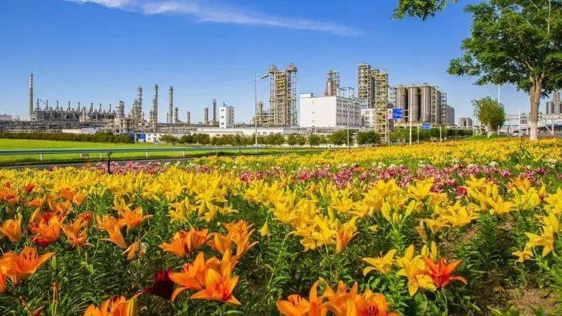 精细化工产品细分市场调研：案例分析及启示